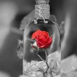Faiza bin - @faiza_royal.1253 - Instagram