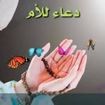 faiza🌺 - @faizaroyale - Instagram