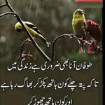 zoya khan 876 - @fai_zaroye - Instagram