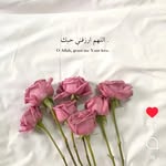 _فائزة توصیف_ - @_faiza_tauseef - Instagram
