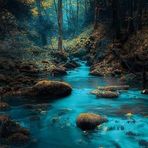 Faiza Tauseef - Facebook