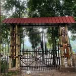 fajaralam.SaungTalun - @fajaralam.saungtalun - Instagram