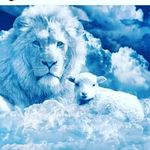 Fallon Burgess - @fallonburgess143 - Instagram