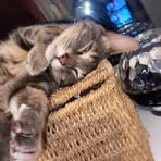 Fallon Butler - Facebook