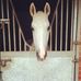 Fallon Gardner - Facebook