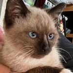 Fallon Grace - @onemana555 - Instagram
