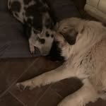 FallonGrace Farms - @fallongracefarms - Instagram
