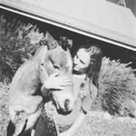 Fallonrideshoot🐴🐴 - @fallon_grace_ - Instagram