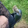 Fallon - @fallon.greer - TikTok