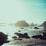 Fallon Grün - @fallon_gr1_n - Instagram