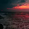 falon.grounds - @falon.grounds - TikTok