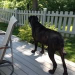 Sharon Grunow Fallon - @sharongrunowfallon - Instagram