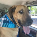 Fallon Harris - Facebook
