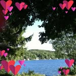 Patricia Fallon Henry - @fallonhenry75 - Instagram
