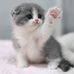Fallon Jackson - Facebook