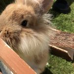 Fallon Keating - @fallon_keating - Instagram