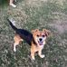 Fallon Kirby Taylor - Facebook
