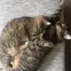 Lawson F - @lawson.fallon - TikTok