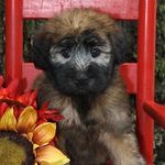 Fallon Littlebear Lopez - @fallon_the_brave - Instagram