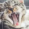 Fallon Lowery - @fallon793 - TikTok