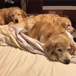 Fallon Lynch - @lynchfallon - Instagram