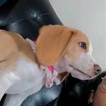 fallon martinez Sánchez - @fallon_014 - Instagram