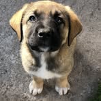 Fallon Moses - Facebook