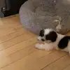 Fallon Murphy - @fallon.94 - TikTok
