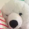 fallon nicole - @fallonnicole - TikTok