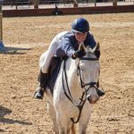 Jaime Fallon Nixon - @j.f.n.equestrian - Instagram
