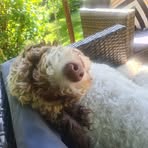 Fallon Fraser Nugent - Facebook