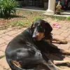 fallonowens041408 - @fallonowens041408 - TikTok