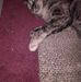 Fallon Parks - Facebook