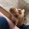 Fallywally - @fallywally128 - TikTok
