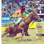 ♡Fallon Taylor♡ - @fallon.taylor.barrelracing - Instagram