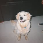 Fallon walsh - @fallon_walsh - Instagram