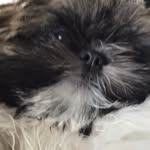Fal - @fallonwatson2021 - Instagram