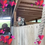 Falon Welch - Facebook