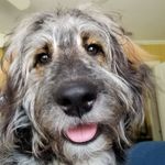 Fallon Wells - @thatdoodfal - Instagram