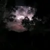 FallonWhite - @fallonwhitequeen - TikTok