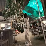 Fang Qi - @zhu_10.22 - Instagram