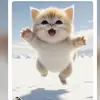 fangqi63 - @fangqi63 - TikTok