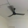 fangqi - @fangqi47 - TikTok