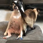 Fangfei Zhang - @pepperzhang0810 - Instagram