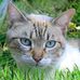 Fannie Bell - Facebook