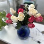Fannie Bellefeuille - @fanniebellefeuille - Instagram