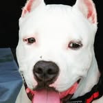 Vanilla Kane & Mrs.Fannie bell - @_4bbbk - Instagram