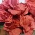 Fannie Haley - Facebook