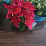 Fannie Hill - Facebook