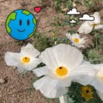 Fannie Hunt - @1fjhunt - Instagram